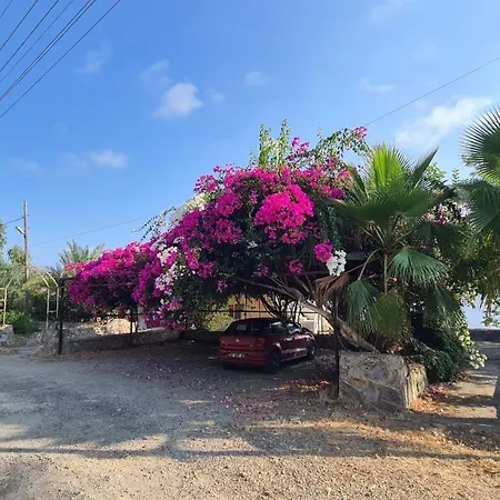 Holiday home Ugrak Isikli (Rize)