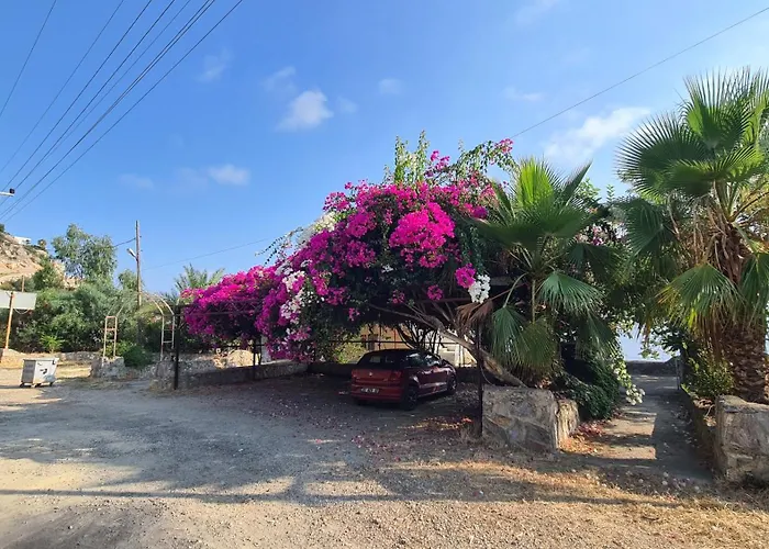 Nyaraló Ugrak Isikli (Rize)